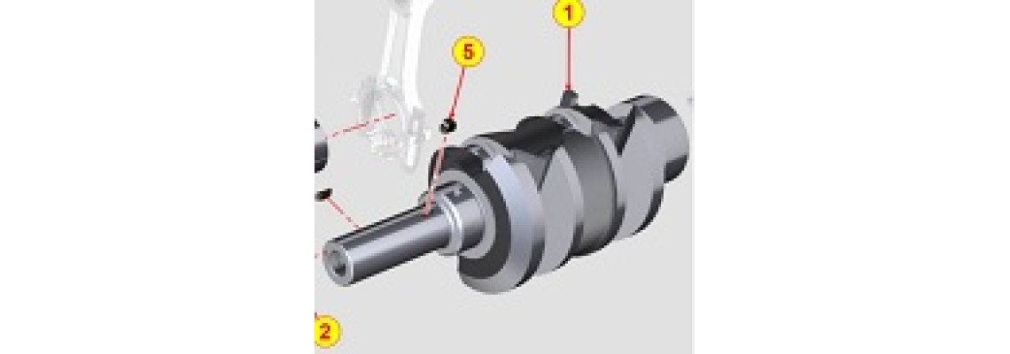 ALBERO MOTORE LOMBARDINI LDW502 (USATO)